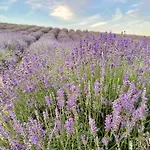 Oda ve Kahvaltı Relais Conac 1888 - Luxury - Adults Only Castelnuovo Don Bosco