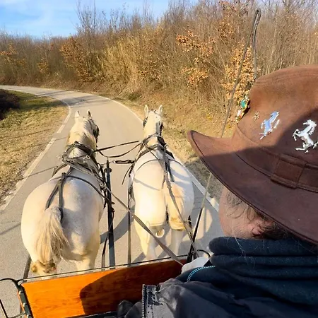 Bed & Breakfast Relais Conac 1888 - Luxury - Adults Only