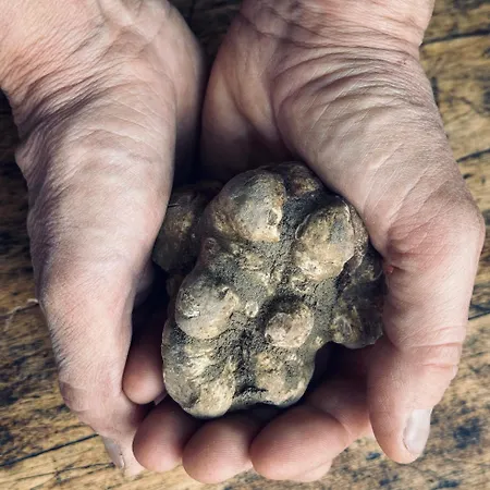 Bed & Breakfast Relais Conac 1888 - Luxury - Adults Only Castelnuovo Don Bosco