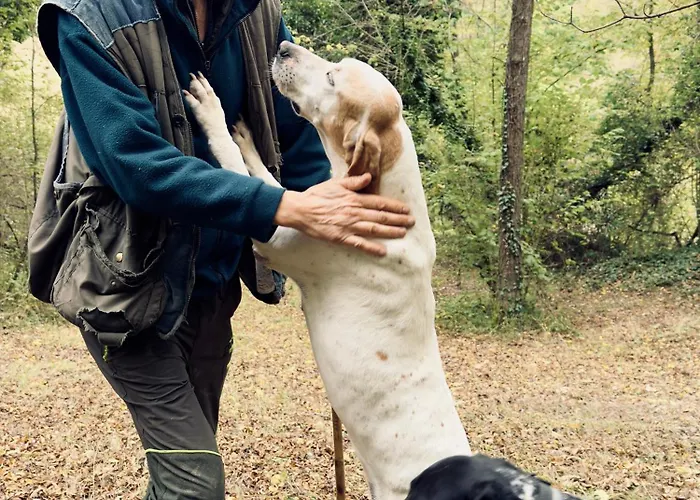 Alojamento de Acomodação e Pequeno-almoço Relais Conac 1888 - Luxury - Adults Only Castelnuovo Don Bosco